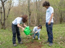 Rocco DeLorenzo-Volunteering